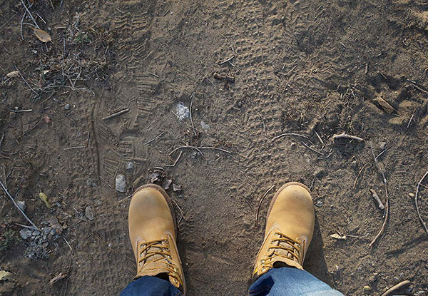 Geotechnical Testing on-site. Plate Bearing Test (PBT), Plate Load Test, Crane Pad Test, Soakaway Test, Site Investigation Services, MEXE Probe Test, California Bearing Ratio Test (CBR Testing)